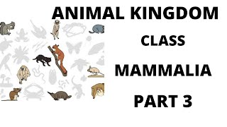 ANIMAL KINGDOM CLASS MAMALIAEXAMPLESPROTOTHERIAMETATHERIA [upl. by Nanon]