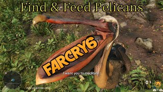 Far Cry 6 💠 How To Find And Feed Pelicans [upl. by Nakhsa857]