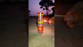 🥳 DIFFERENT TYPES Of DIWALI CRACKERS TESTING  Sky Shot ➕ Diwali Rocket ➕ Murga Chhap ➕ Bijli Bomb [upl. by Lolita619]