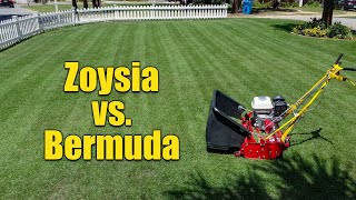 Zoysia Grass vs Bermuda Grass for Lawns [upl. by Aihsekin]