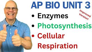 Crush AP Bio Unit 3 Enzymes Photosynthesis and Respiration [upl. by Neffirg]