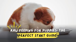 Raw Feeding for Puppies The Perfect Start Guide [upl. by Misty]