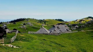 Velika Planina July 2023 Slovenia [upl. by Robbi]