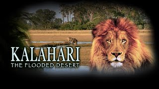 Kalahari The Flooded Desert Full Movie in HD [upl. by Novonod]