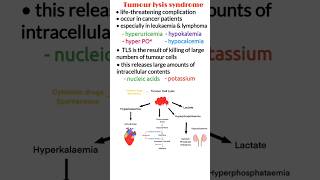 Tumor lysis syndrome TLS pathophysiology diagnosis treatment oncological emergency shorts [upl. by Dor]