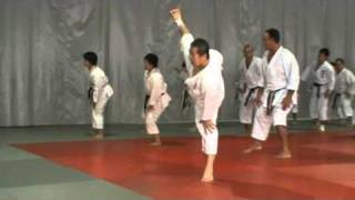 Sensei Kagawa Masao Curso Madrid2 [upl. by Arihsak]