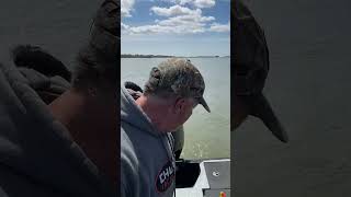 Trolling Tip to Catch more WALLEYE fishing fishingtips walleye walleyefishing [upl. by Ariaek]