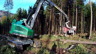 NEUSON 243HVT  forest harvester 🌳🌲 [upl. by Lesser]