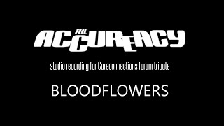 The Cure  Bloodflowers studio cover by The Accureacy [upl. by Kyriako]