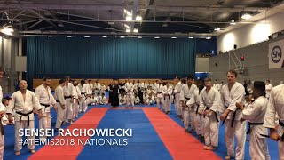 Sensei Rachowiecki  Atemi Nationals 2018 Open Final  Gauntlet [upl. by Solracsiul953]