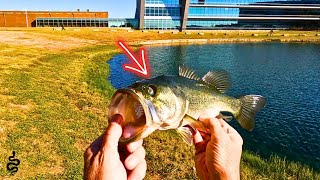 Catching BASS with ONE EYE  SWIM JIG FISHING‼️ [upl. by Frederich]