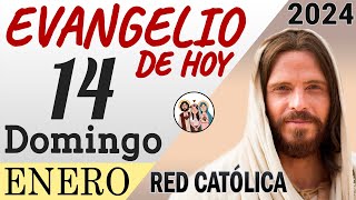 Evangelio de Hoy Domingo 14 de Enero de 2024  REFLEXIÓN  Red Catolica [upl. by Zumwalt427]