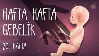 Hafta Hafta Gebelik 20 hafta [upl. by Ermentrude121]