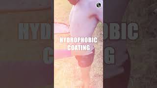 Do You Know About Hydrophobic [upl. by Esiouqrut]