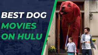 Best Dog Movies on Hulu  Best Puppy Movies on Hulu [upl. by Birdie]