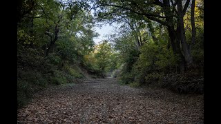 Hickory Creek Ranch  North Texas Ranch for Sale [upl. by Lekym129]