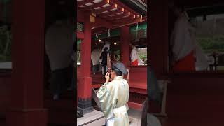 Shinto Wedding at Tsurugaoka Hachimangu Shrine in Kamakura [upl. by Kat744]