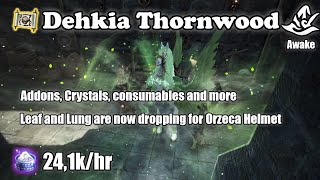 BDO  Dehkia Thornwood  LeafsLung now drops  Awake Witch 241khr [upl. by Ydur559]