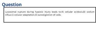 Lysosomal rupture during hypoxic injury leads to [upl. by Margarette]