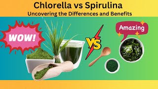 Chlorella vs Spirulina Uncovering the Differences and Benefits [upl. by Forward957]