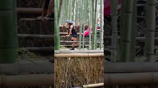 Kyoto Arashiyama Rickshaw youtubeshorts travel japan trending [upl. by Ahsielat]