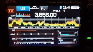 Icom IC7300 panadapter waterfall display settings for detail and weak signals [upl. by Maxma]