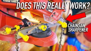 Does This Really Work Chainsaw Sharpener From Harbor Freight [upl. by Goldsmith515]