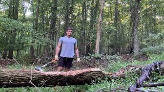 Day 01 Chopping wood for a workout [upl. by Mccahill]