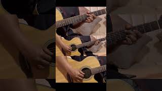 Khase Ka Tara  Albatross  Acoustic Guitar acousticguitar guitarcover albatross albatrossnepal [upl. by Weingarten48]