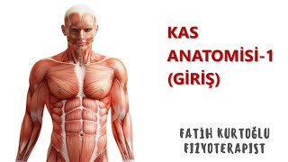 KAS ANATOMİSİ KONU ANLATIMI1  GİRİŞ [upl. by Fafa]