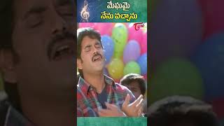 మేఘమై నేను వచ్చాను  Nuvvu Vastavani Movie  Nagarjuna Hit Song shorts youtubeshorts ytshorts [upl. by Acimehs]