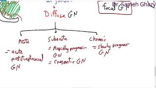 systemic pathology 48  Urinary system 2  nephritic glomerulonephritis  DR SAMEH GHAZY [upl. by Isyed495]