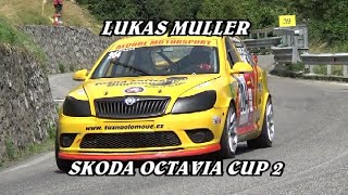 TROFEO VALLECAMONICA 2024  LUKAS MULLER  SKODA OCTAVIA CUP 2  VIDEO BELLUNOVIDEO [upl. by Didi308]