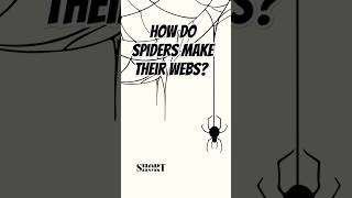 How Do Spiders Make Their Webs facts funfacts insects spider web shorts [upl. by Aiksa364]