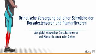 Die richtige Orthese bei einer kombinierten Schwäche der Dorsalextensoren und Plantarflexoren 14 [upl. by Janelle449]