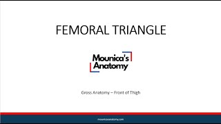 Gross Anatomy  Lower Limb  Femoral Triangle [upl. by Debby]