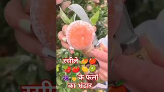 रसीले फलों का भंडार fruts satisfying fruiting fruit fruitcutting friut food friuts plants [upl. by Bortman587]