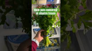 Hack para conservar el cilantro fresco hacks trucos cocina shorts [upl. by Ramuk827]