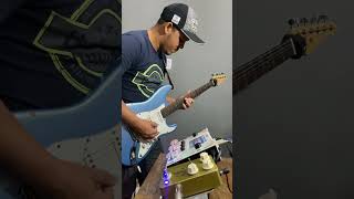 AMPERO 2 STOMP DOTTED DELAY  MORNING GLORY  JOY FX [upl. by Katti976]