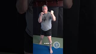 The Hook Punch Is NOT A Haymaker shorts boxing kickboxing mma [upl. by Annala]