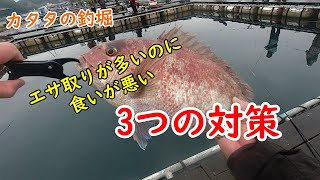 【海上釣堀】「エサ取りが多いのに食いが悪い時の3つの対策」を紹介inカタタの釣堀 [upl. by Dredi]