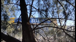 NSW Class 81 dieselelectric 8153 hauling container wagons to Port Botany 20241026 [upl. by Pihc]