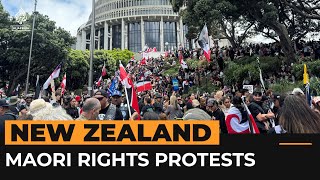 Thousands protest as Maori rights march reaches New Zealand parliament  Al Jazeera Newsfeed [upl. by Maison]