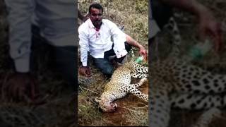 El Hombre que Venció a un Leopardo con sus Puños [upl. by Dis642]