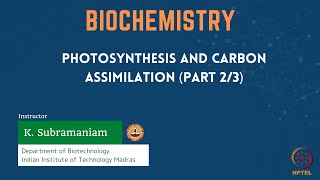 Photosynthesis and Carbon Assimilation Part 23 [upl. by Karil449]