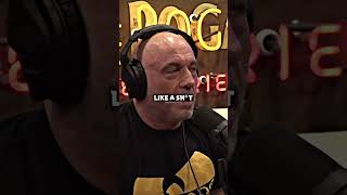 Joe Rogan explains what Hitlers race car was 🚗 [upl. by Redna741]