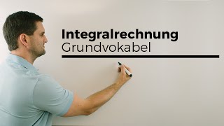 Integralrechnung Grundvokabel Hauptsatz Flächenberechnung  Mathe by Daniel Jung [upl. by Jesse576]