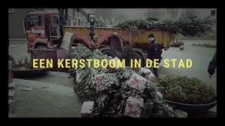 Kerstboom in de stad [upl. by Animas]