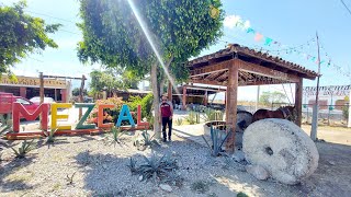 El recorrido del MEZCAL en Oaxaca [upl. by Arretak519]