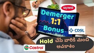 ఇన్వెస్టర్లకు అద్భుతమైన అవకాశం డిమెర్జర్ మరియు బోనస్ ప్రకటించిన స్టాక్స్ [upl. by Milzie]